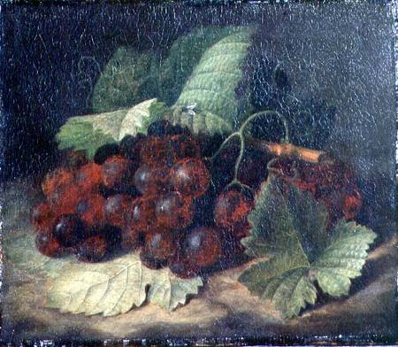 Still Life of Grapes od William Hammer