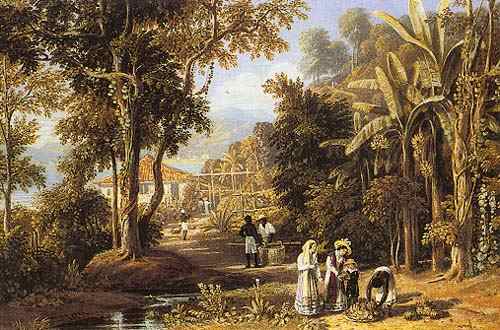 Garden scene of the Borganza coast, Rio de Janeiro od William Havell