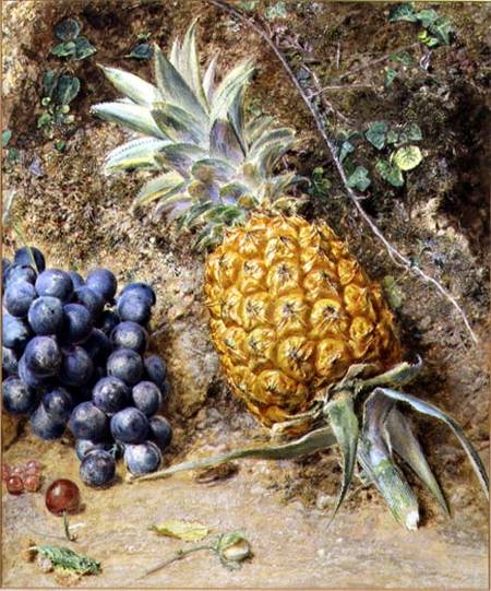 Grapes and a Pineapple od William Henry Hunt