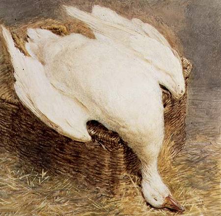 Still Life of a Dead Goose with a Basket od William Henry Hunt