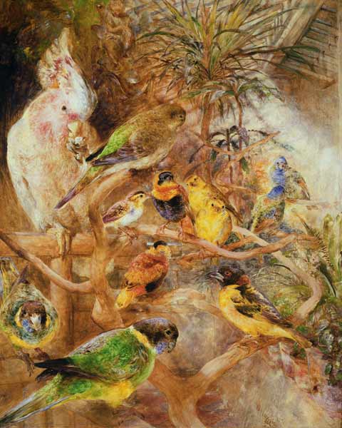 Bird Aviary od William Huggins