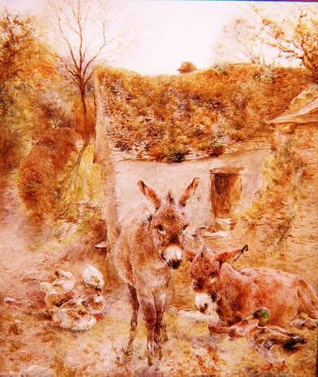 Donkeys and Ducks in a Farmyard od William Huggins