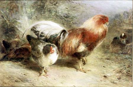 Poultry od William Huggins