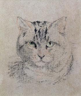 Tabby Cat, 1874 (pencil, crayon and