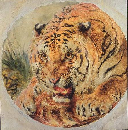 Tiger's Head od William Huggins