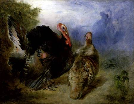 Turkeys od William Huggins