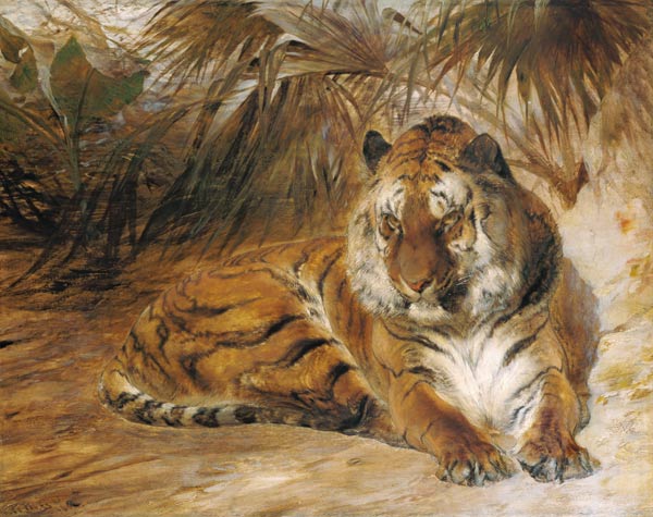 Tiger od William Huggins