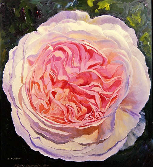 Victorian Rose od William  Ireland