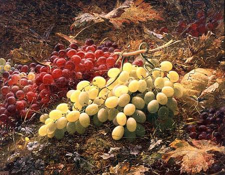 Grapes od William Jabez Muckley