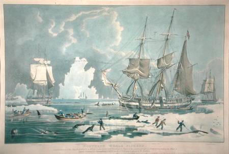 Northern Whale Fishery, engraved by E. Duncan od William John Huggins