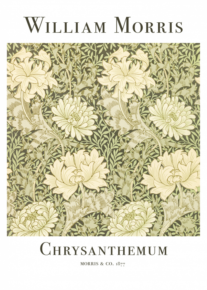 Chrysanthemum od William  Morris