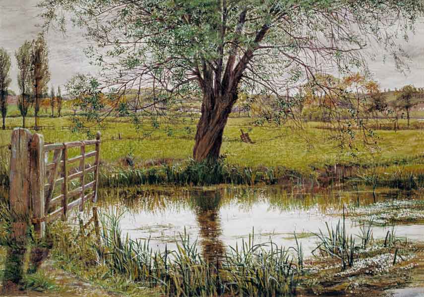 Water Meadow od William Scott