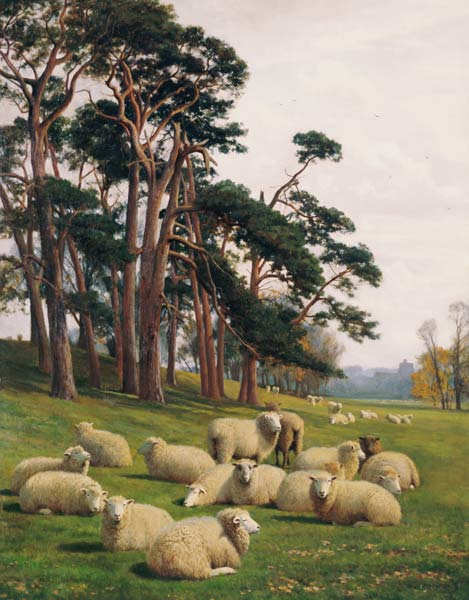 Sunlit Pastures od William Sidney Cooper