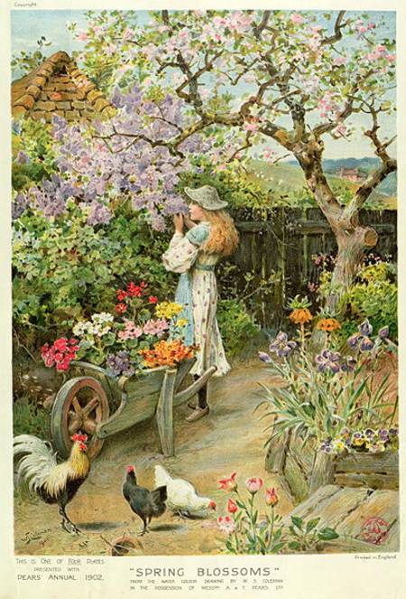 Spring Blossoms, from the Pears Annual od William Stephen Coleman