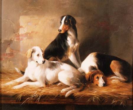Three Hounds in a Stable od William u. Henry Barraud