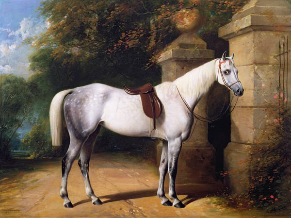 A Grey Horse by Park Gates od William u. Henry Barraud