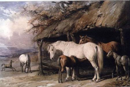 Mares and Foals od William u. Henry Barraud