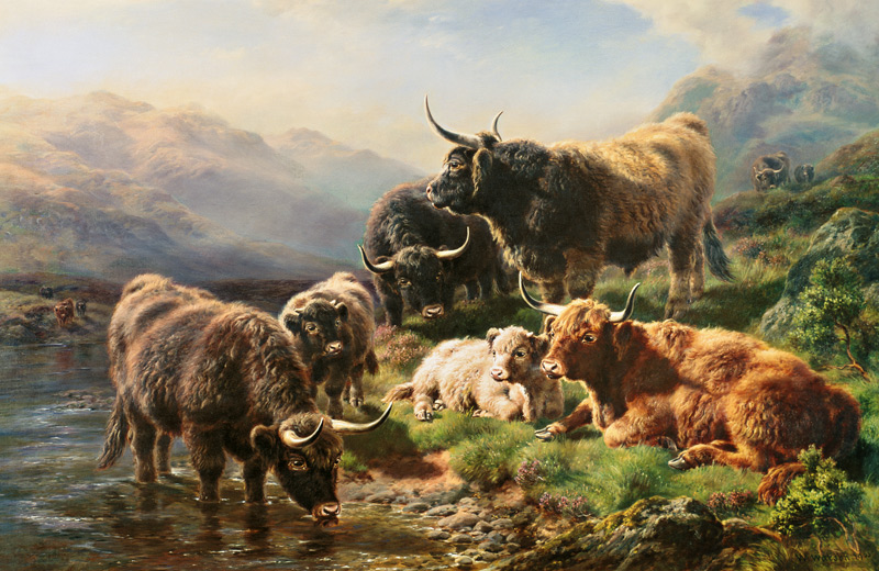 Highland Cattle od William Watson