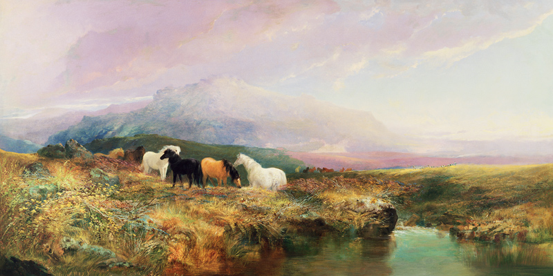 Ponies on Dartmoor od William Widgery