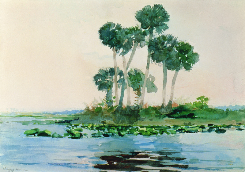 St. John's River Florida od Winslow Homer
