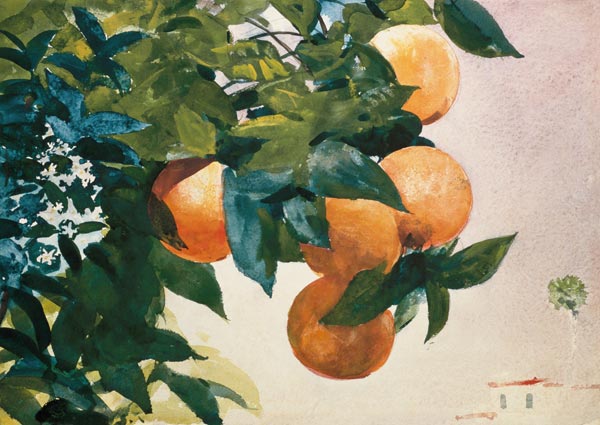 Branch with oranges od Winslow Homer