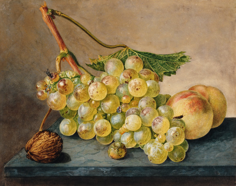 A Bunch of Grapes, a Nut and Two Peaches od Wybrand Hendriks