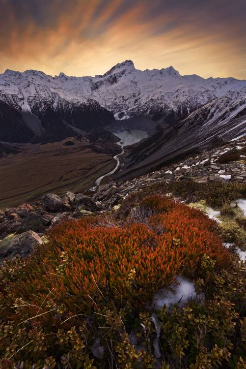 Mount Sefton od Yan Zhang