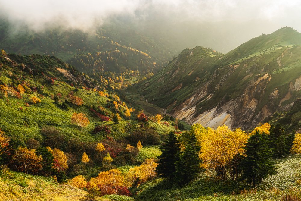 Alpine autumn. od Yuusuke Hisamitsu