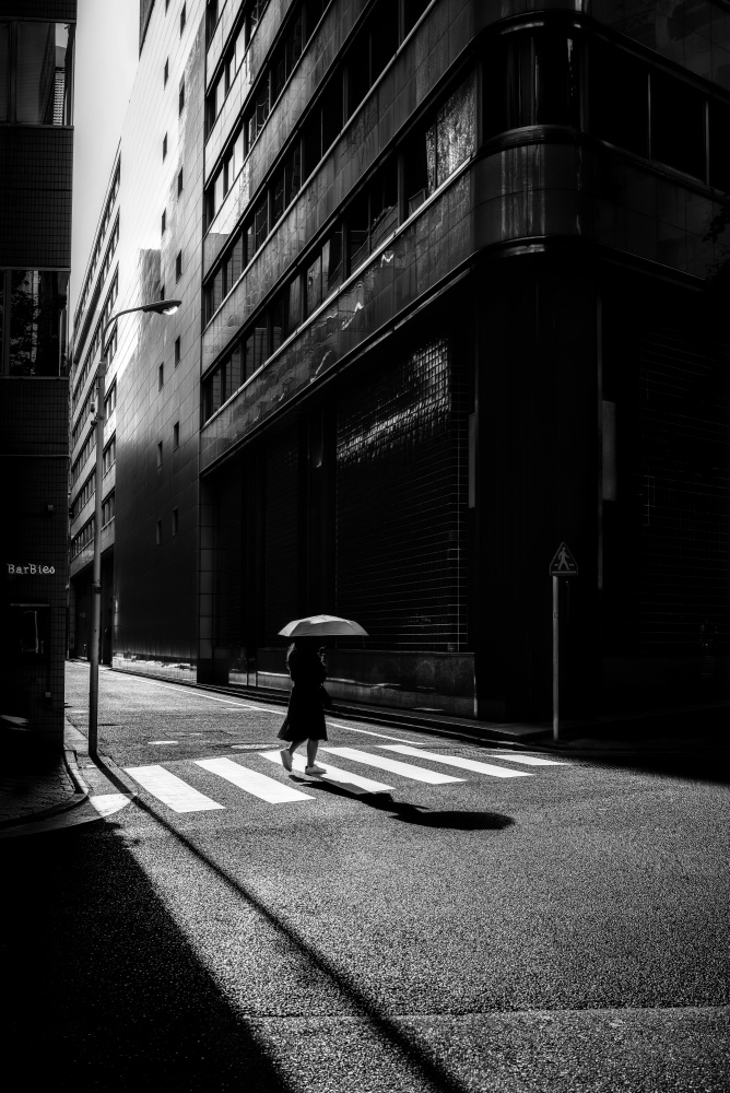 The Spotlight od Yuzo Fujii