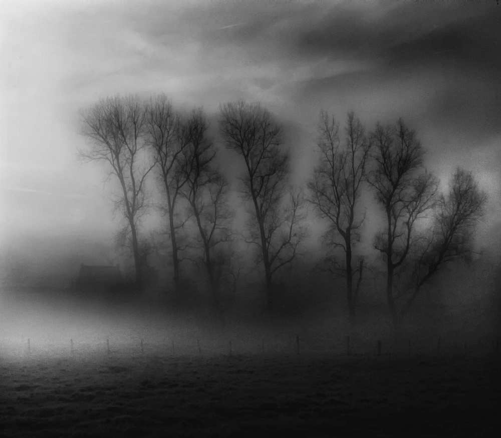 50 Shades of Fog od Yvette Depaepe