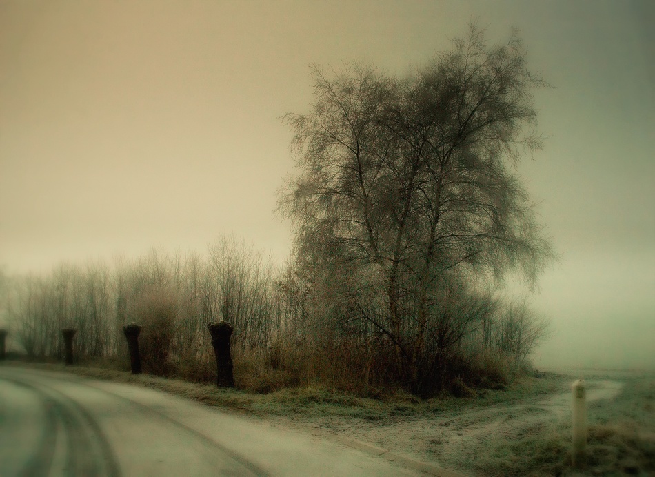 Nature\s silent wintertime od Yvette Depaepe
