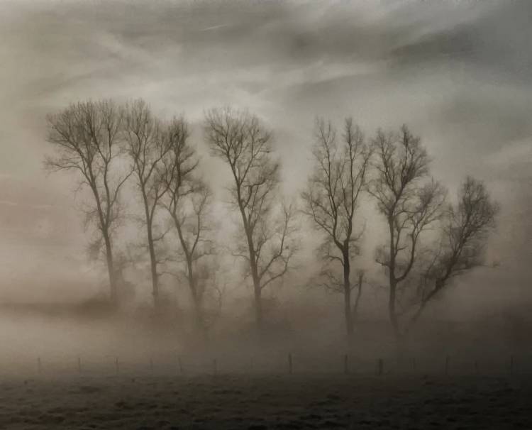 How nature hides the wrinkles of her antiquity under morning fog and dew od Yvette Depaepe